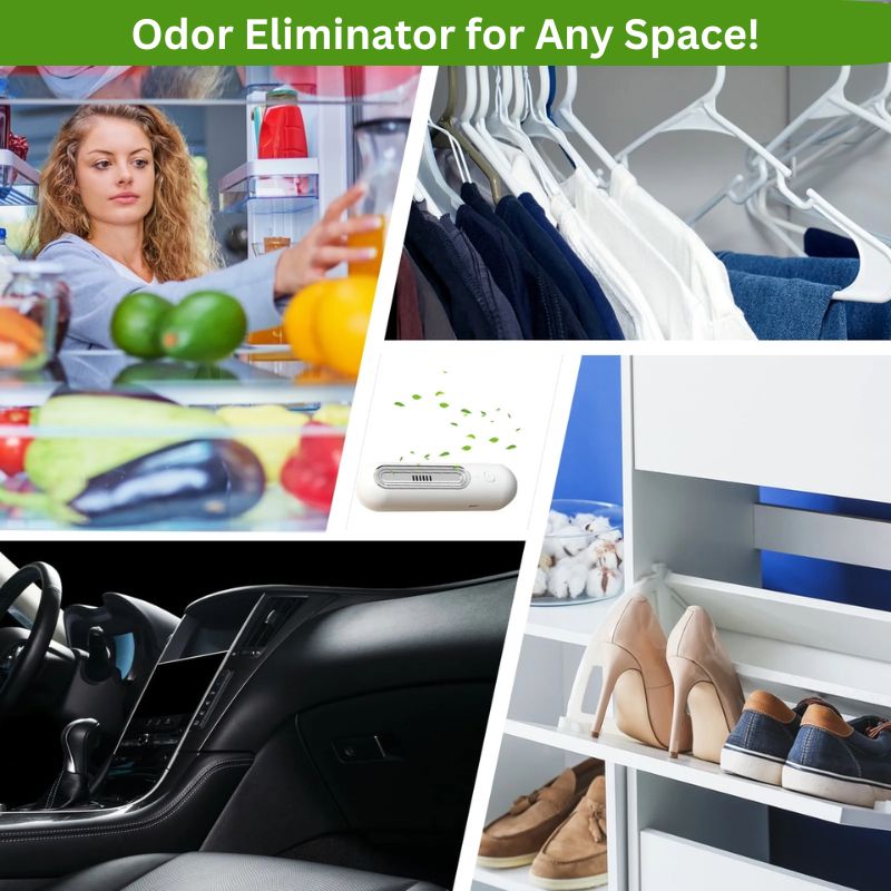 FreshMaster – Refrigerator Always Hygienic and Odor-Free!
