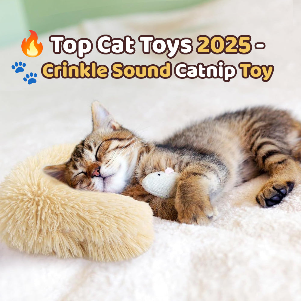PurrJoy – The toy that brings your cat back to hunting
