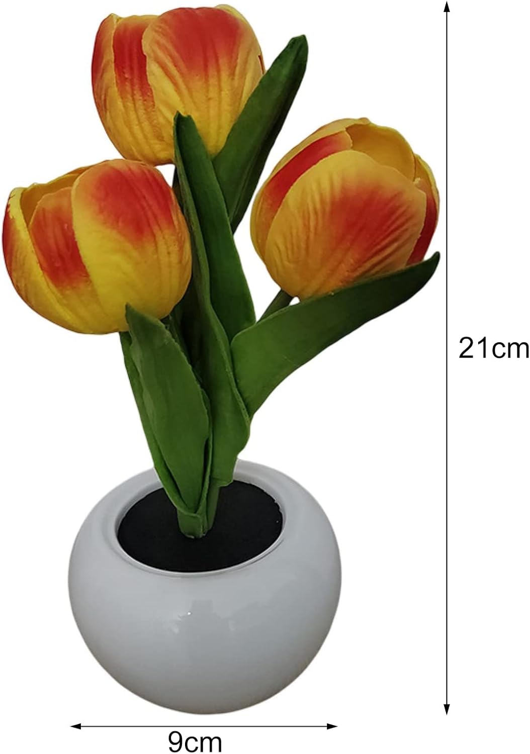 TulipFlair – Romance & Light in One