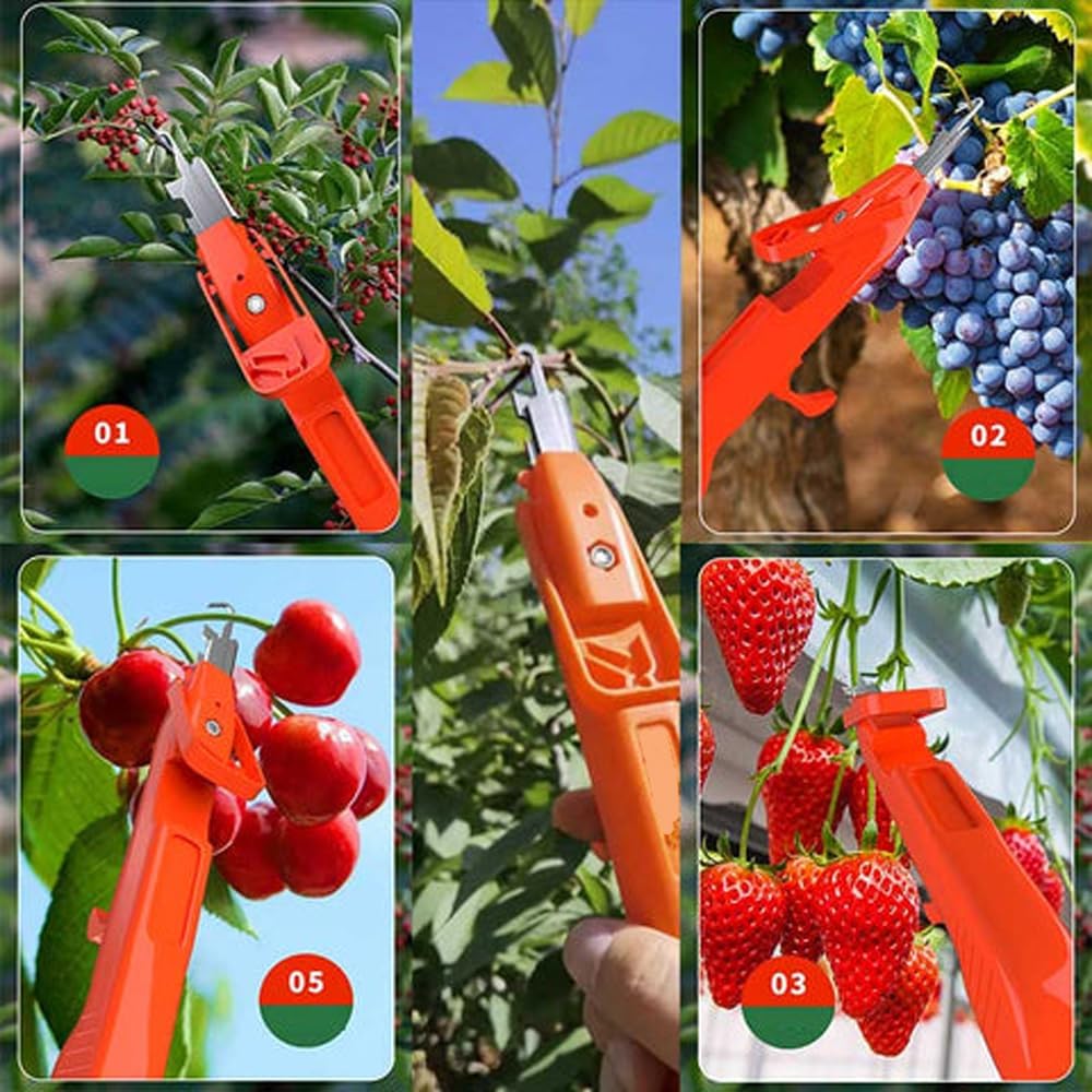 GardenMaster – Harvest Without Effort!