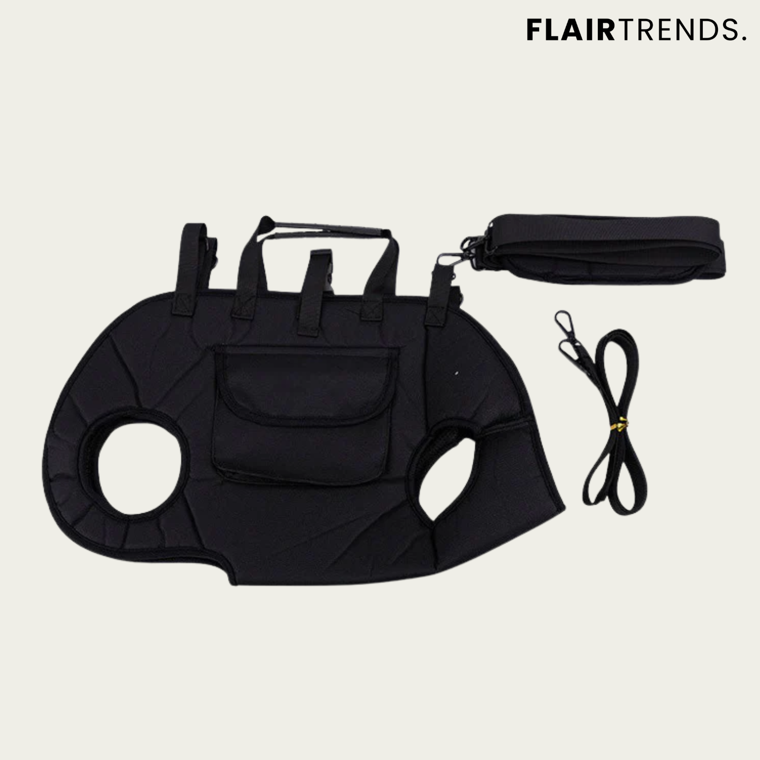 PetGo – Comfort & Safety for You and Your Pet