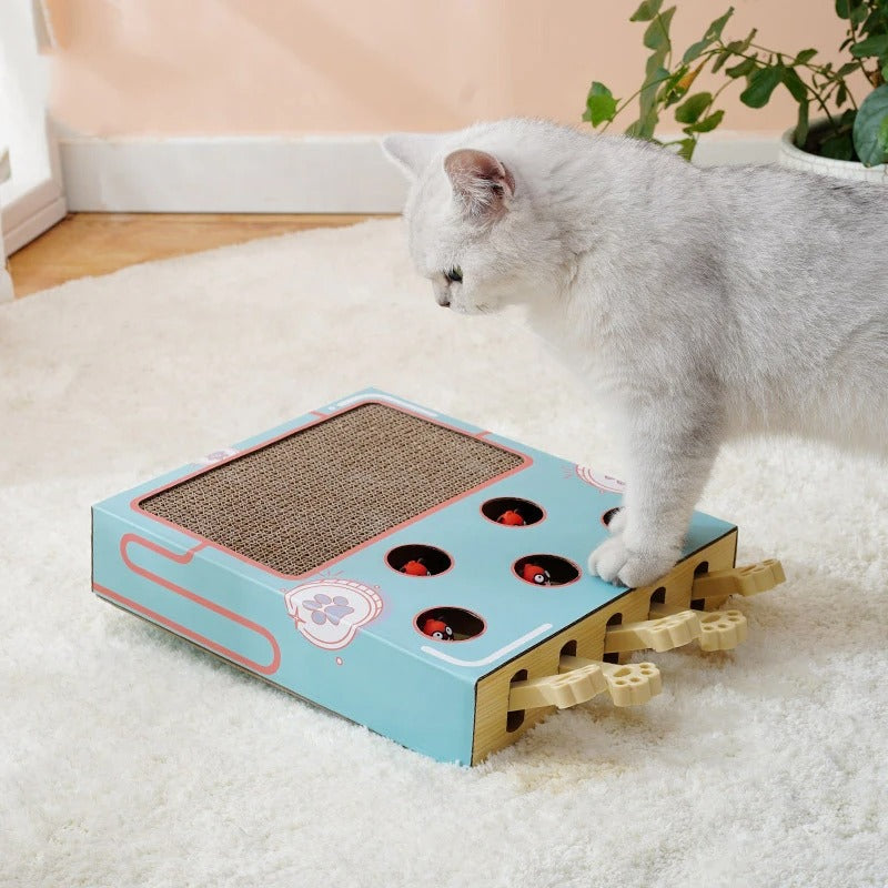ScratchNest – Scratch, Play & Relax in One!
