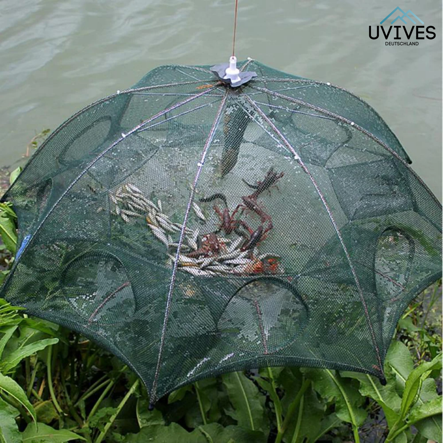 TrapCatch – The Smart Trap for Fish & Crabs!