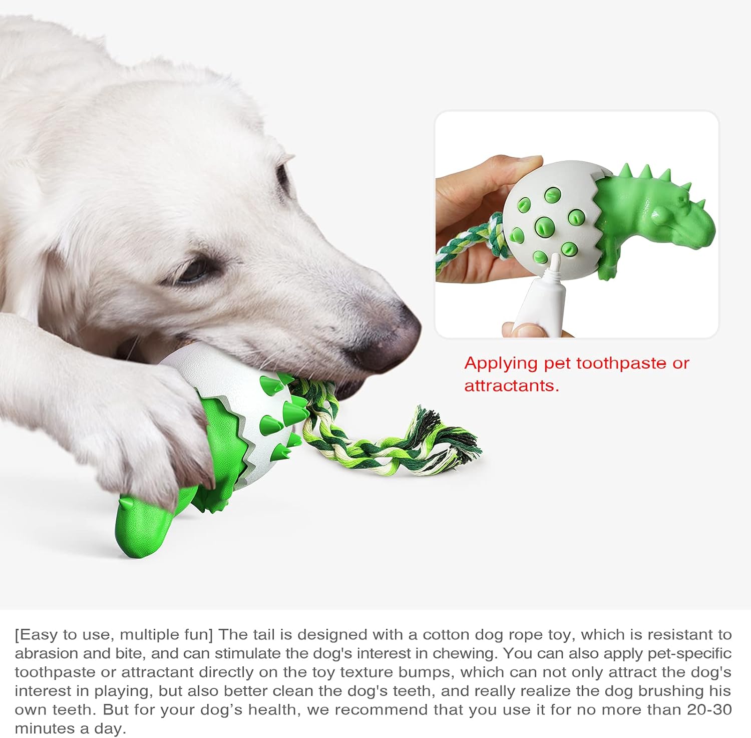DinoEgg – The Indestructible Chew Egg for Healthy Dog Teeth