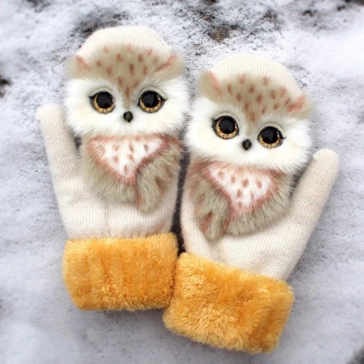 PawGloves – The Cutest Mittens for Warm Winter Days