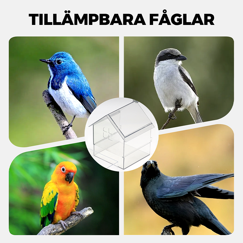 ClearFeast Bird – Clean feeding without feeding chaos