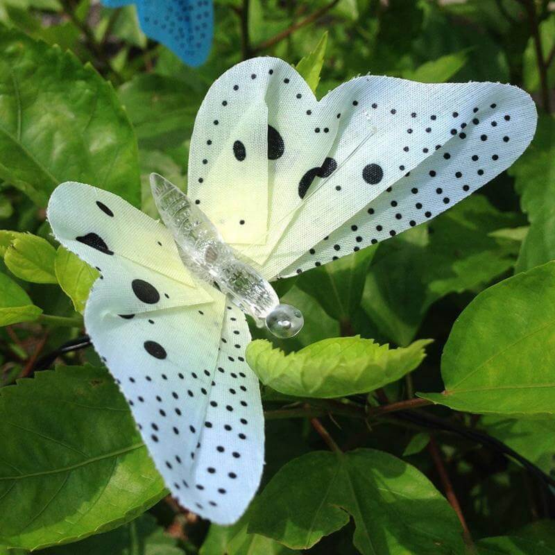 LumiWings – Transform Garden & Home into a Fairy Tale Land!