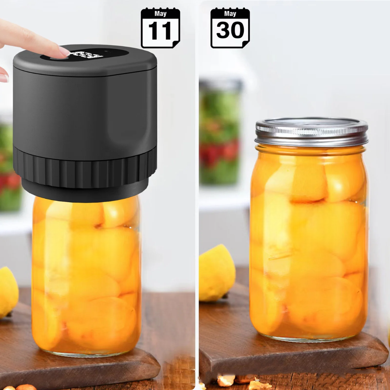 FreshNest Pro – Enjoy Food Fresher for Longer!
