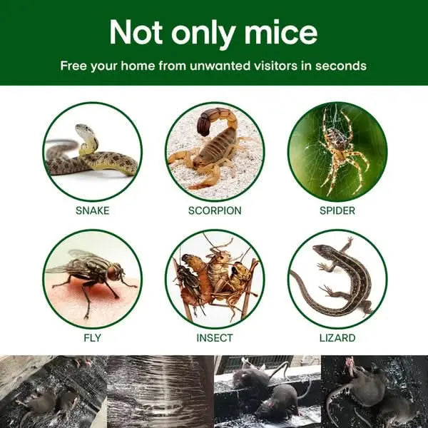 RatTrap – Non-Toxic Sticky Trap Against Pests