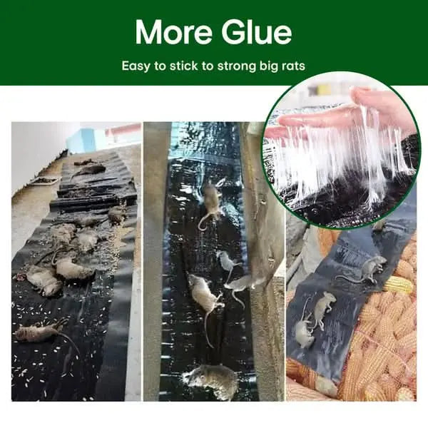 RatTrap – Non-Toxic Sticky Trap Against Pests