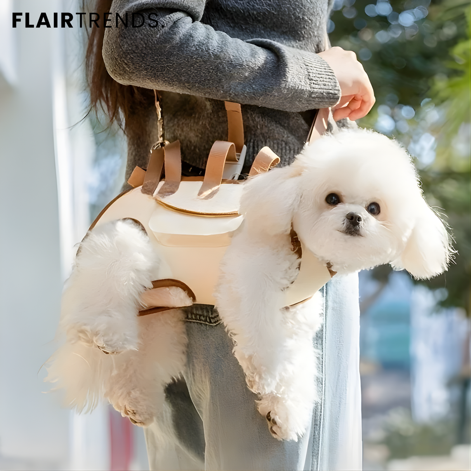 PetGo – Comfort & Safety for You and Your Pet