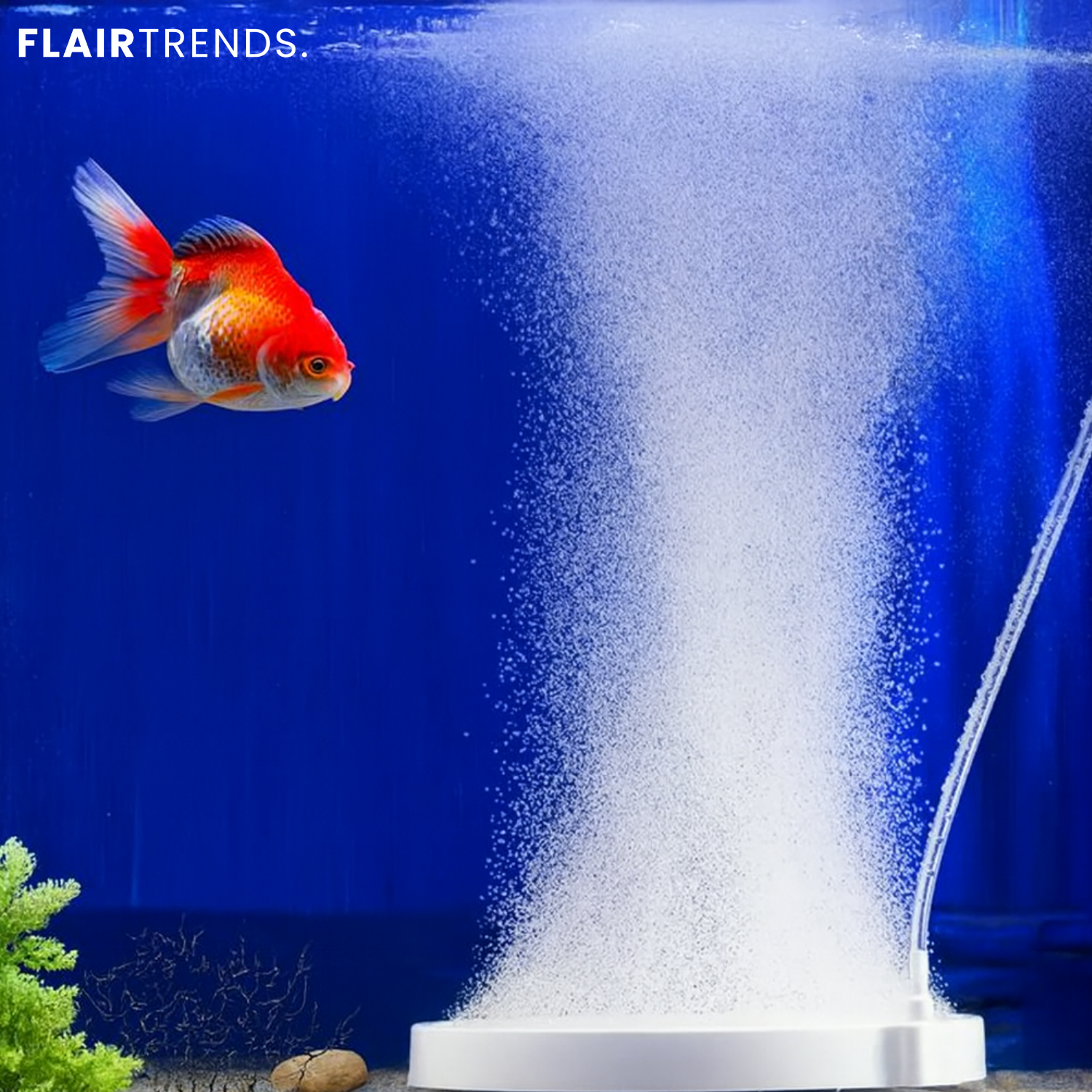 AquaBreathe Nano – Whisper-Quiet Fresh Air for Your Aquarium