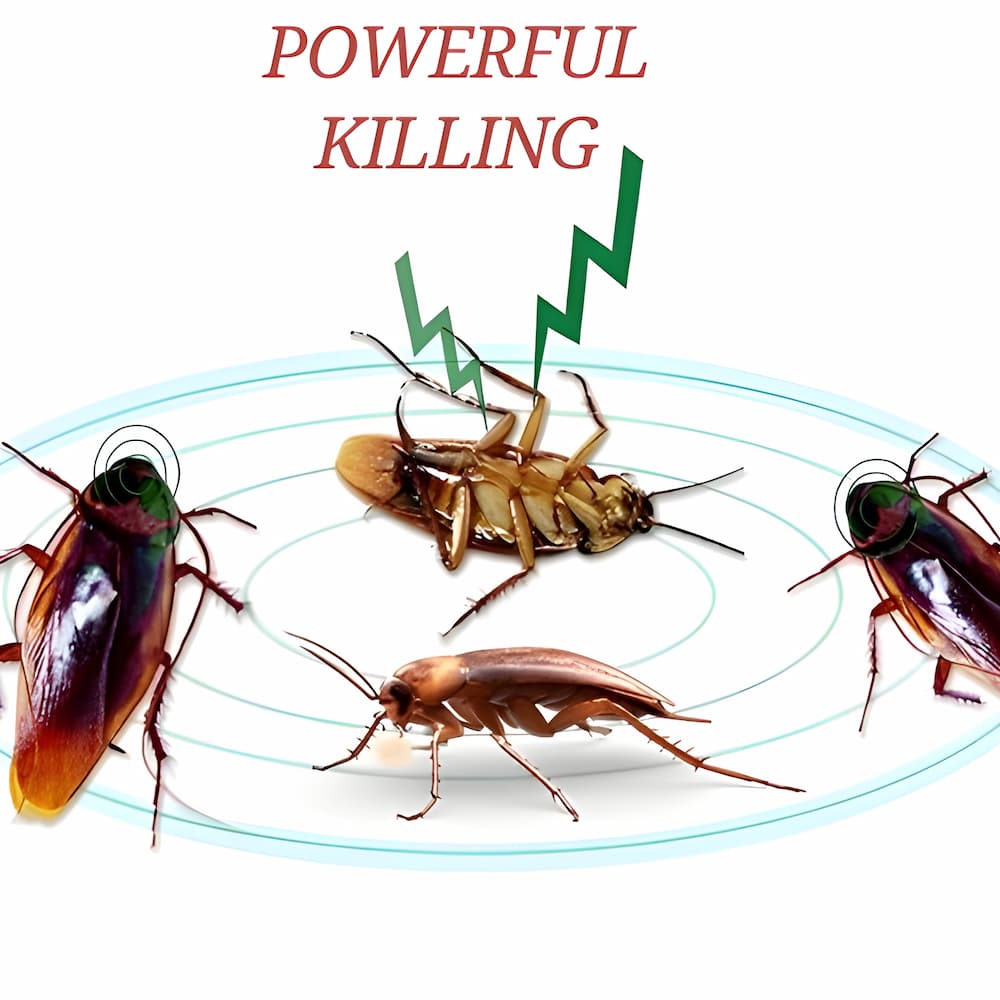 4+4 FREE | RoachShield – Your Chemical-Free Solution Against Cockroaches