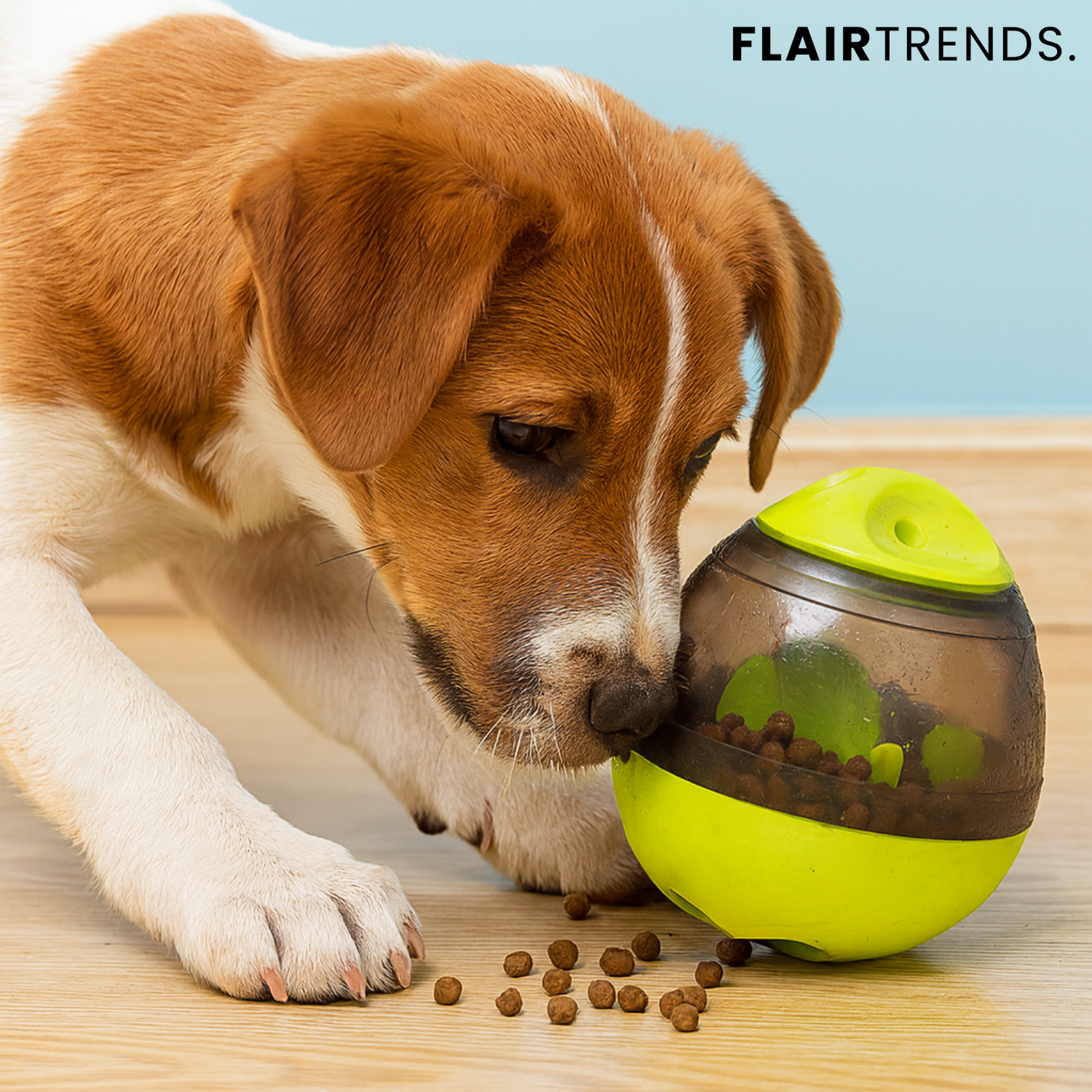 SnackNPlay – Play, Eat & Learn All in One!