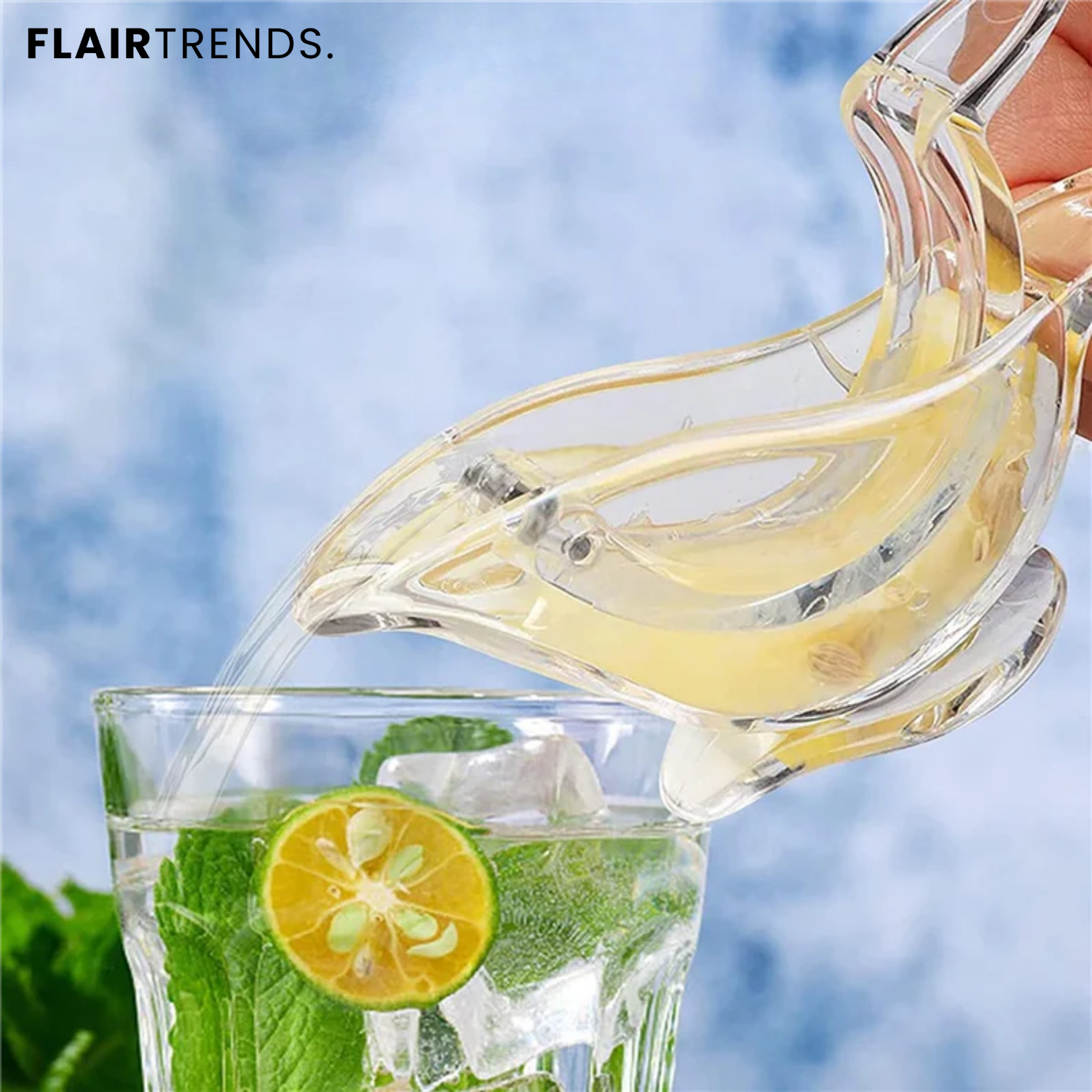 CitrusBird – Fresh Citrus Flavor at the Press of a Beak!