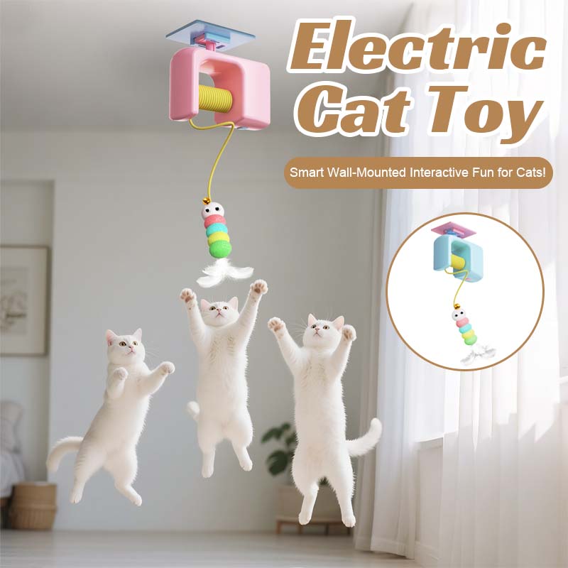 PawRush – Bring Out Your Cat’s Wild Side with Automated Play