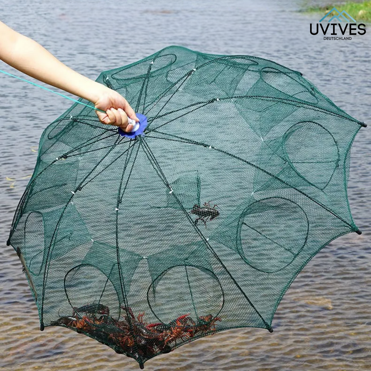 TrapCatch – The Smart Trap for Fish & Crabs!