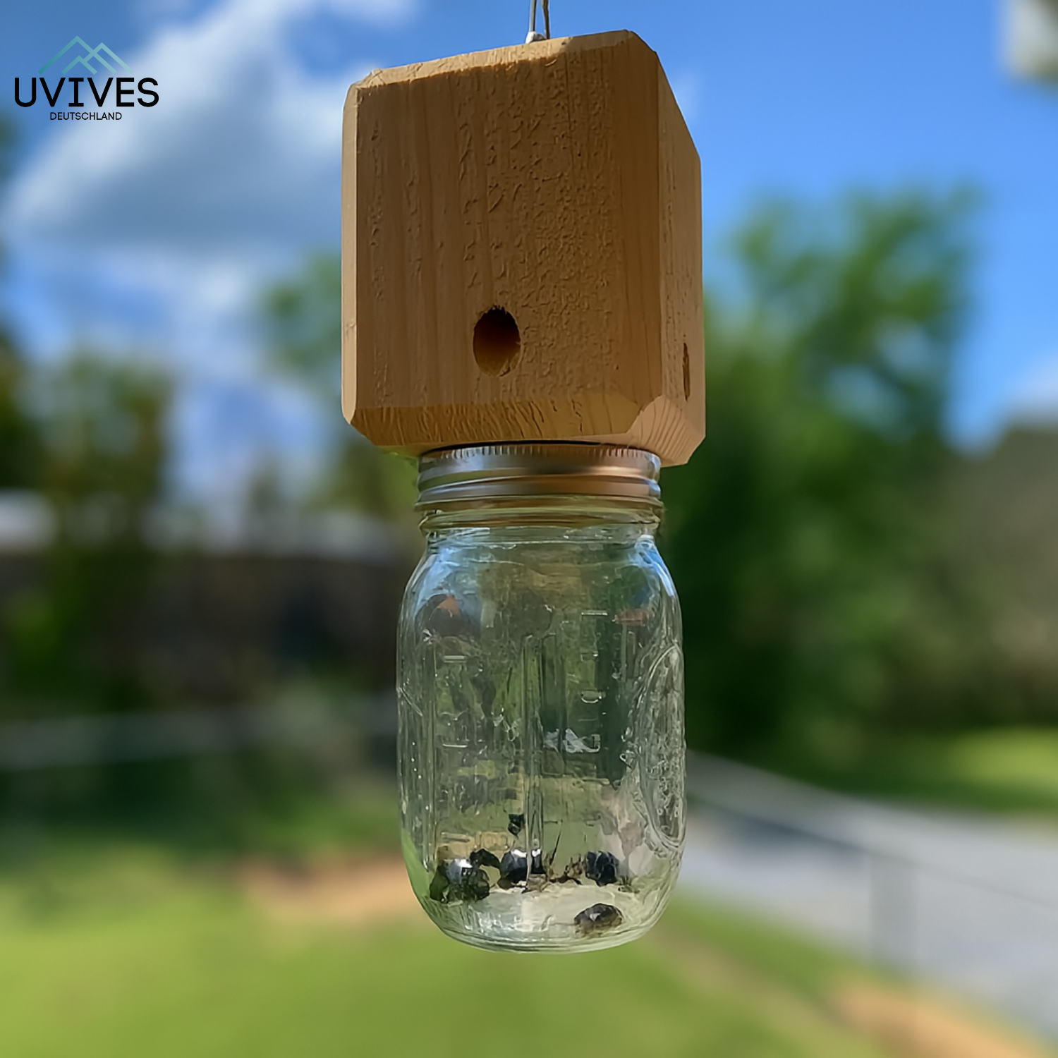 WoodGuard – The Chemical-Free Trap Against Carpenter Bees