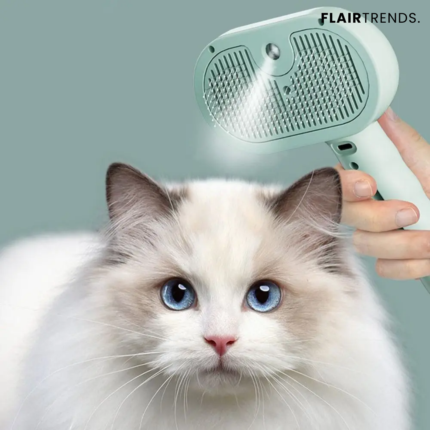 SteamCare – Shiny fur without pulling!