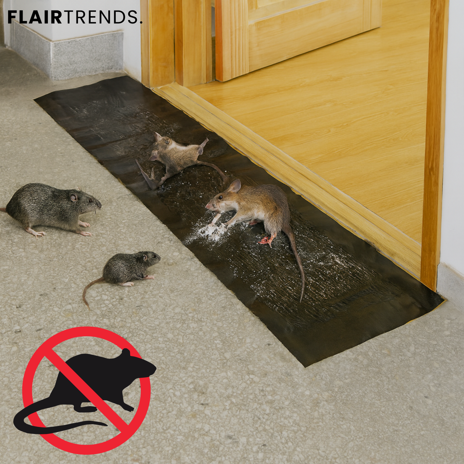RatTrap – Non-Toxic Sticky Trap Against Pests