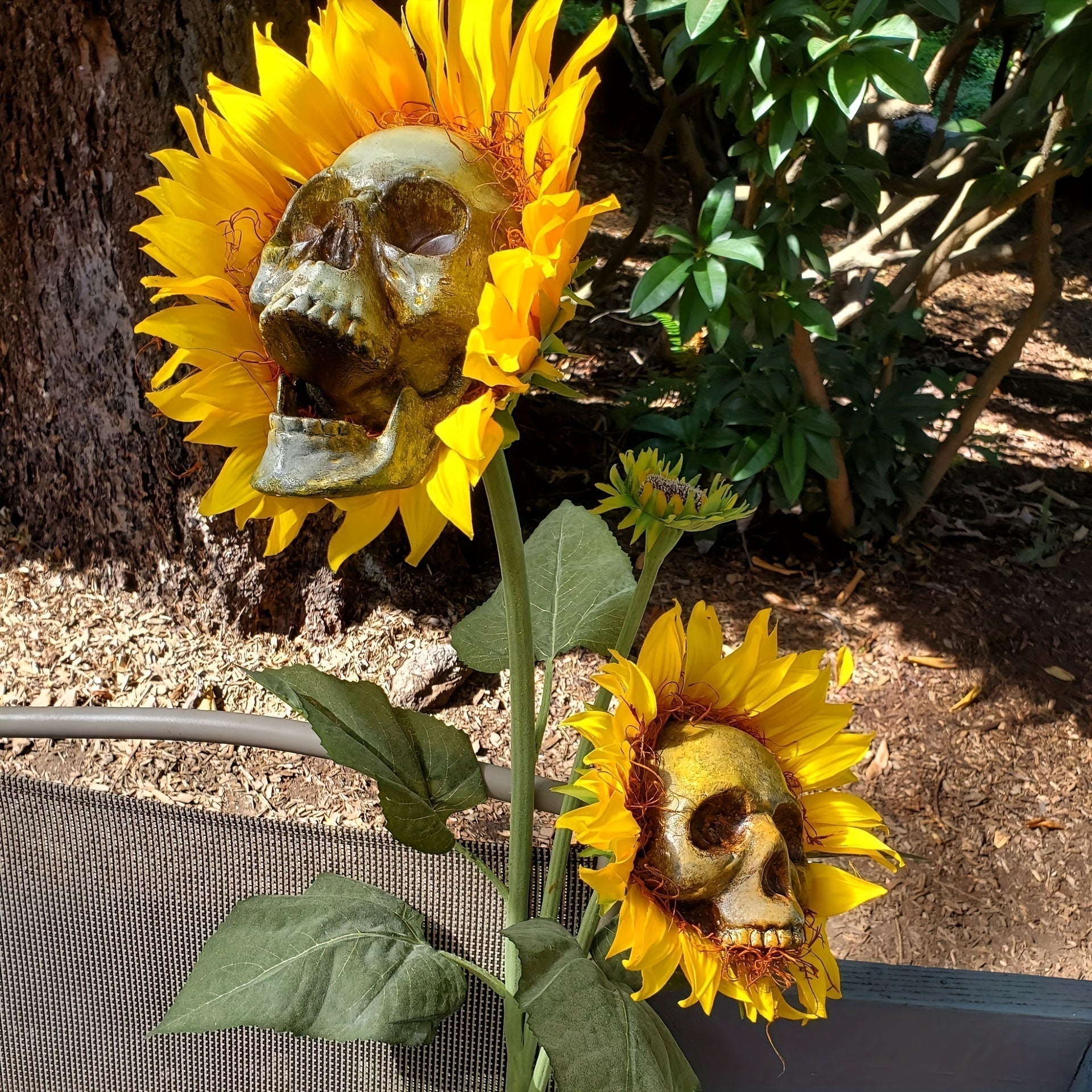BloomSkull – The Spooky-Beautiful Sunflower for Halloween!