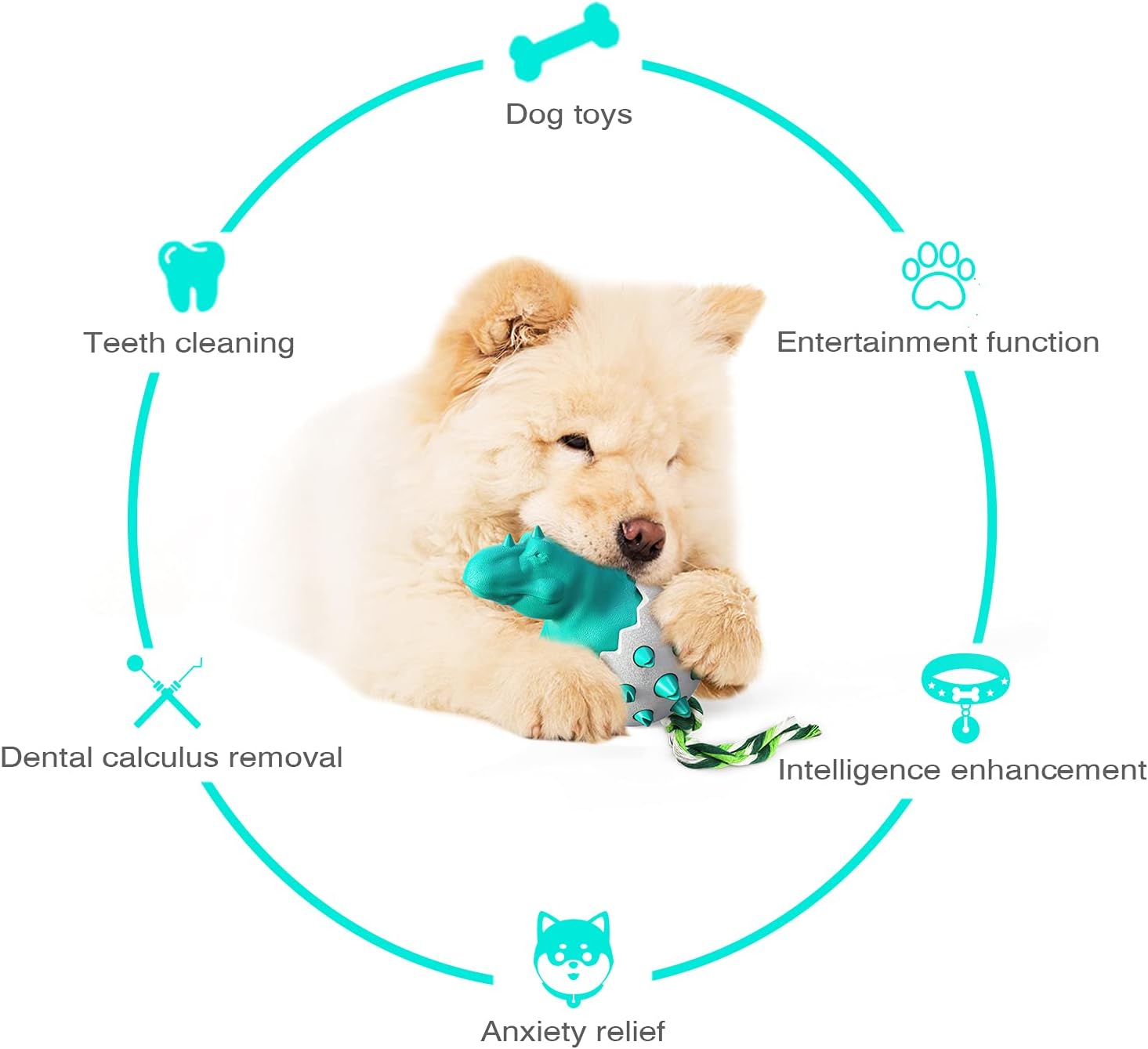 DinoEgg – The Indestructible Chew Egg for Healthy Dog Teeth