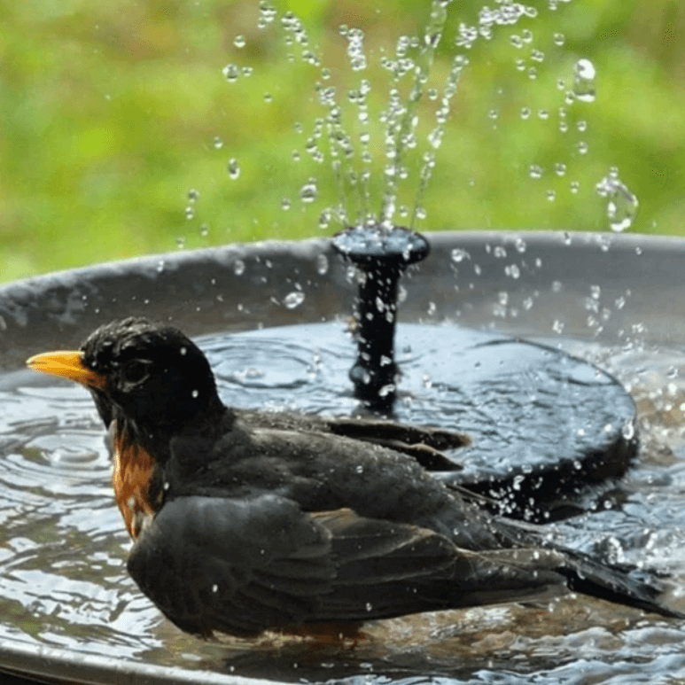 WaterGlow – Solar Fountain with LED & 4 Water Jet Patterns!