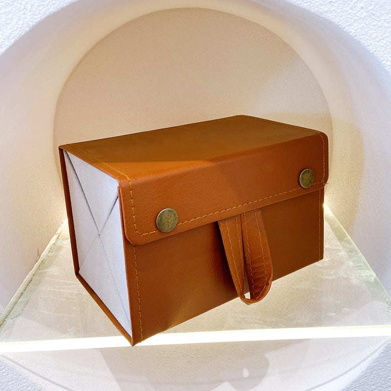 GlassGuard – Protect Your Glasses with Style