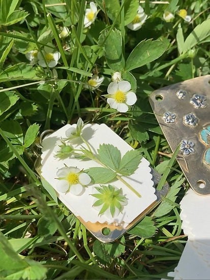 FloraKeep – Preserve Your Favorite Flowers Forever!