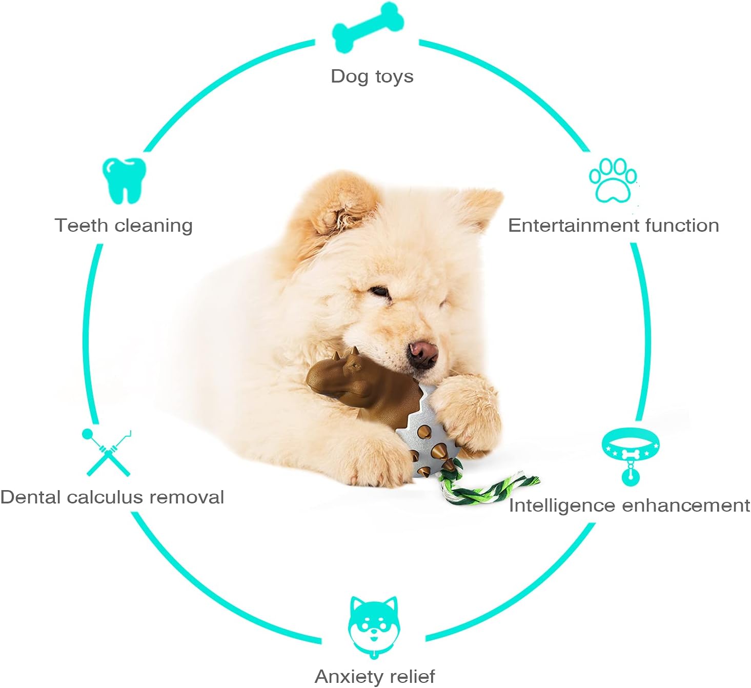 DinoEgg – The Indestructible Chew Egg for Healthy Dog Teeth