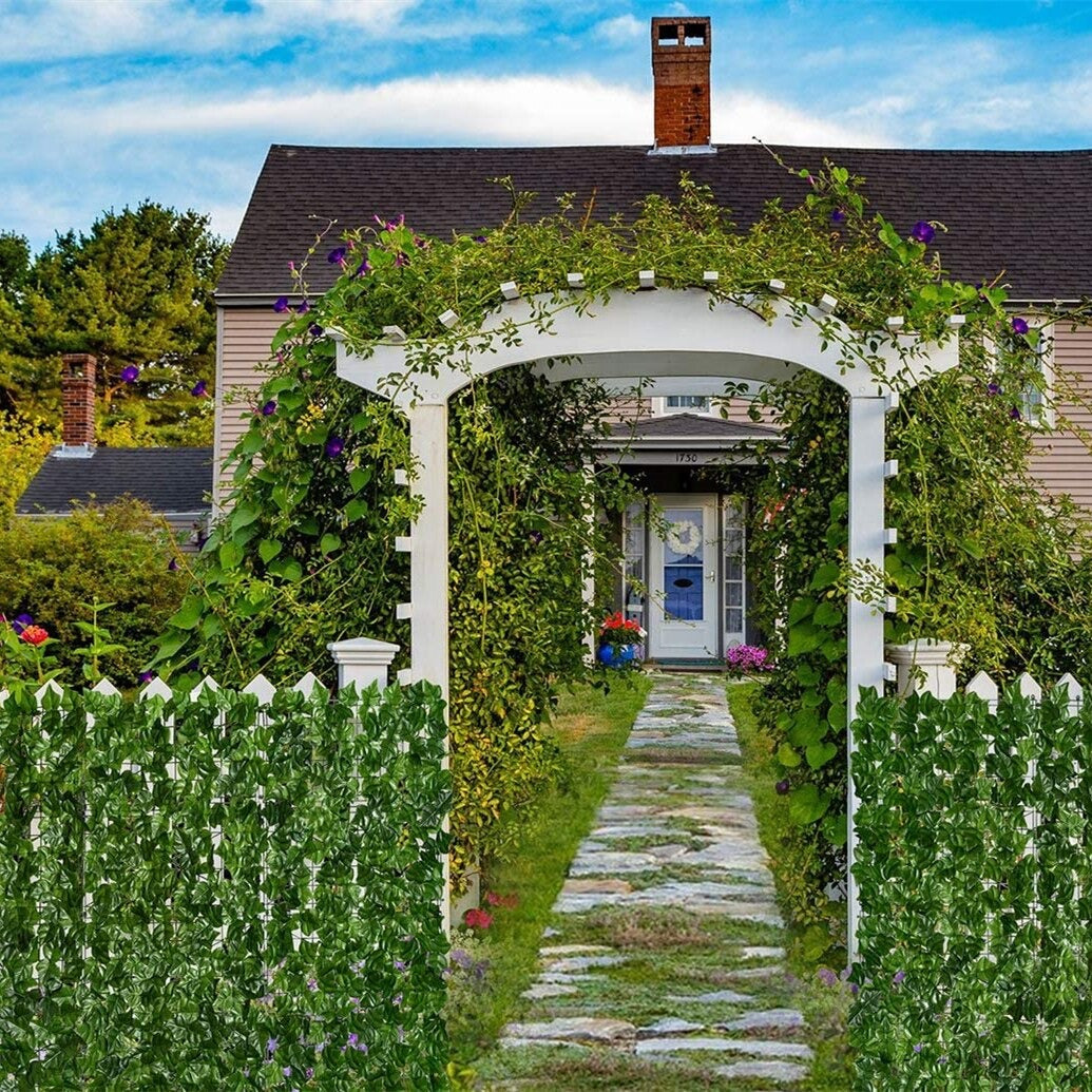 GreenWall – Instant More Privacy and Fresh Ambiance!