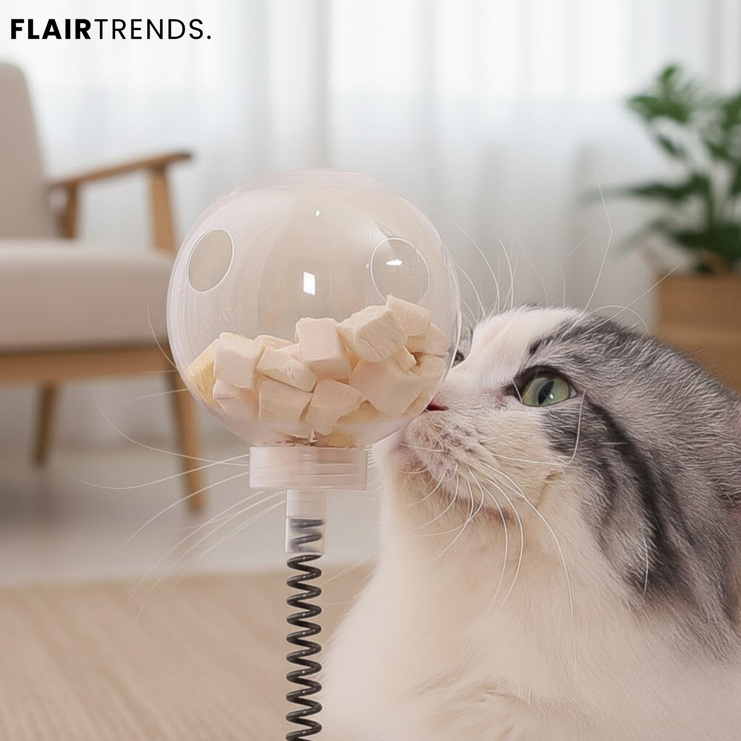 CandyCat – Endless Fun with Snacks