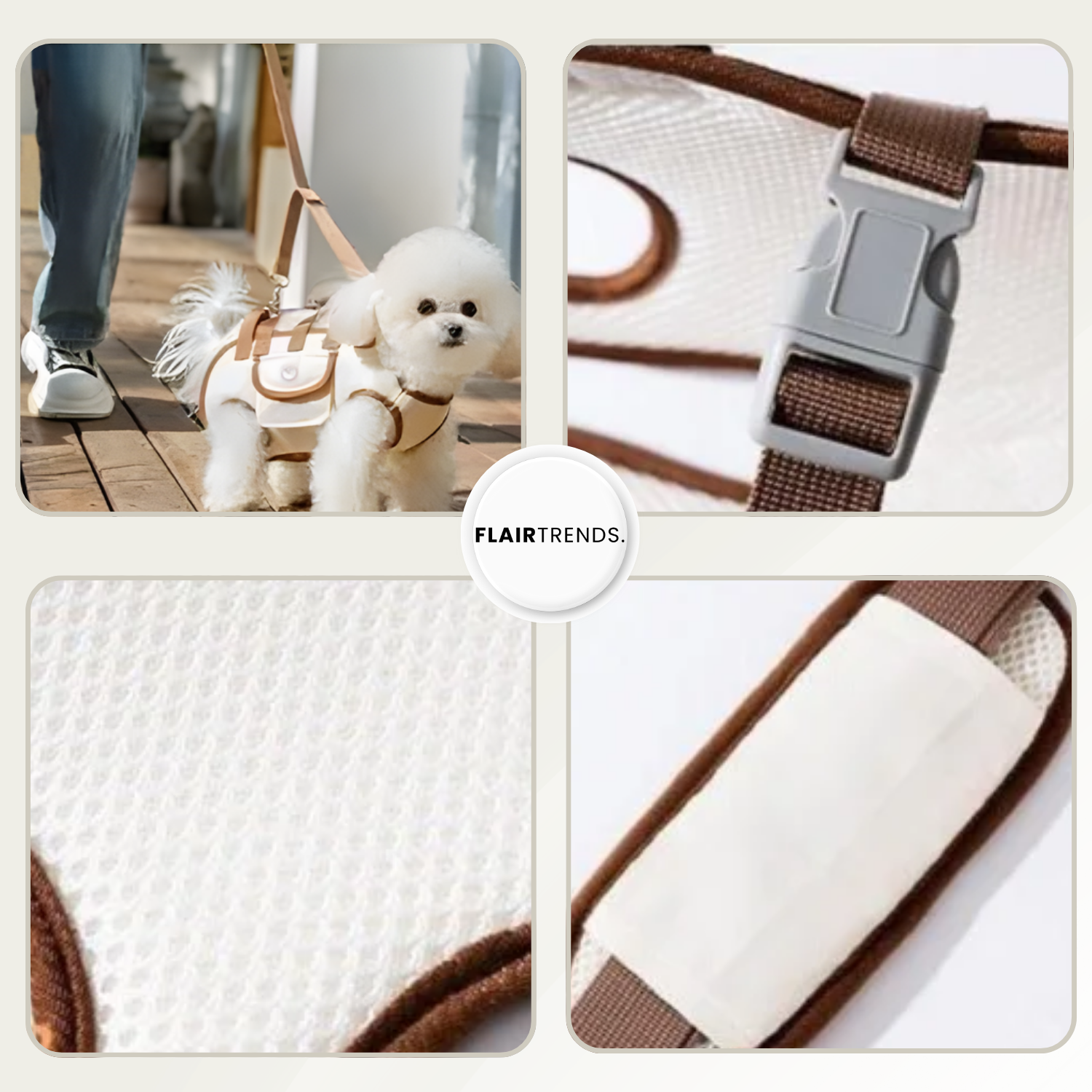 PetGo – Comfort & Safety for You and Your Pet