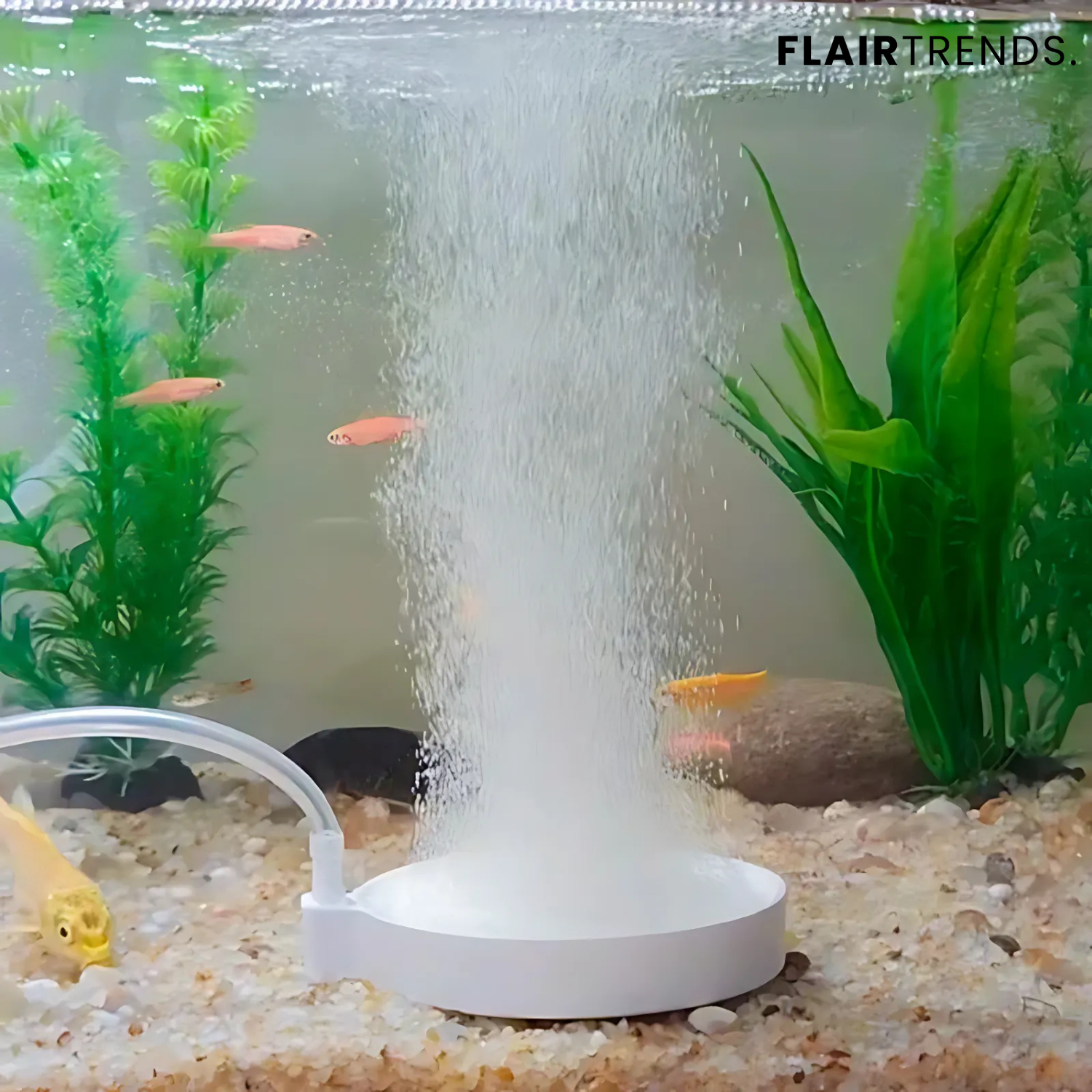 AquaBreathe Nano – Whisper-Quiet Fresh Air for Your Aquarium