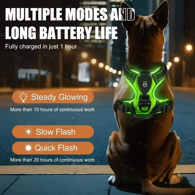 PawGuard – Safe & Stylish Dog Walking!