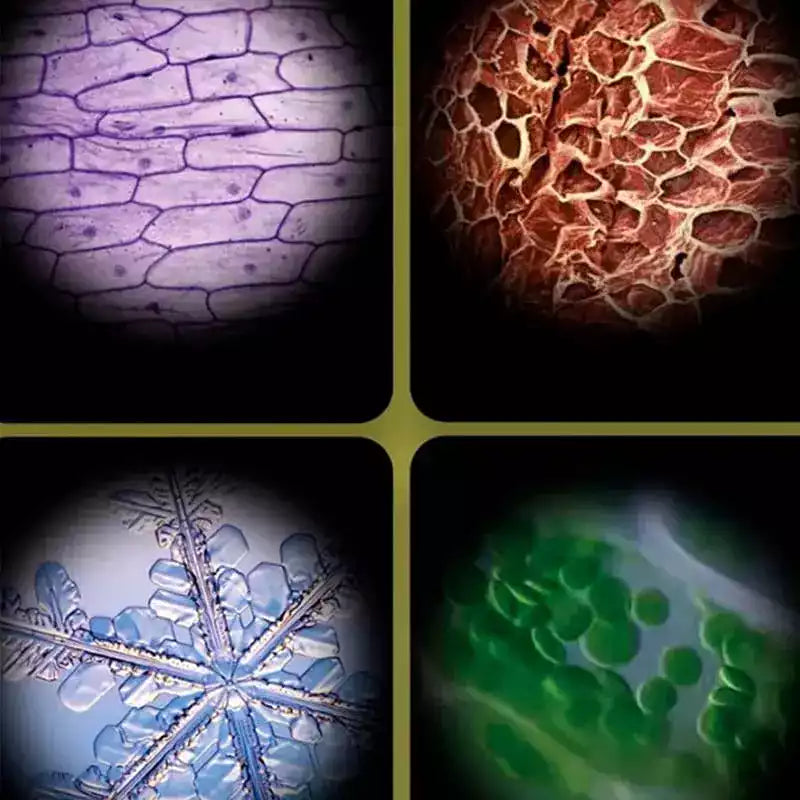 MicroQuest – The Pocket Microscope Fun for Little Explorers