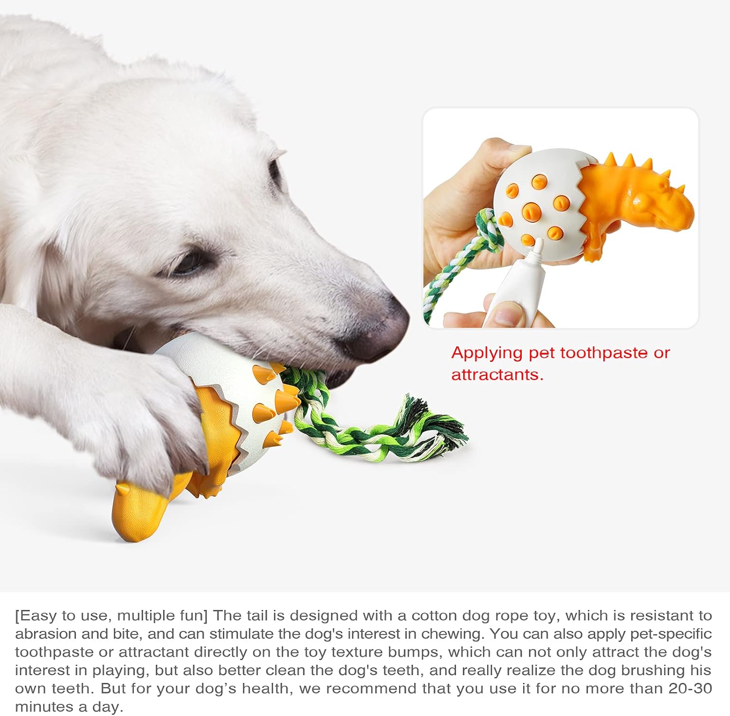 DinoEgg – The Indestructible Chew Egg for Healthy Dog Teeth