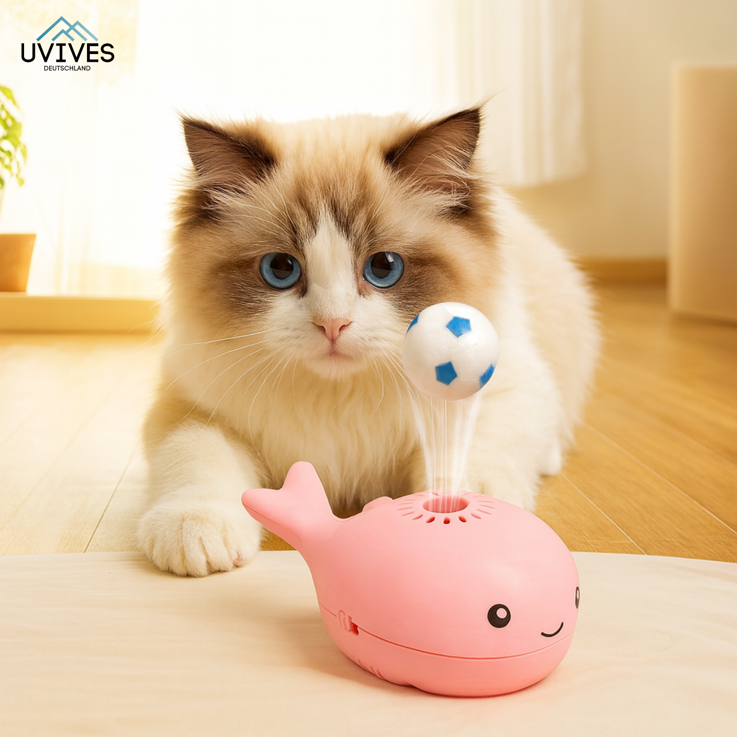 PawGlide – The floating game for active house cats!