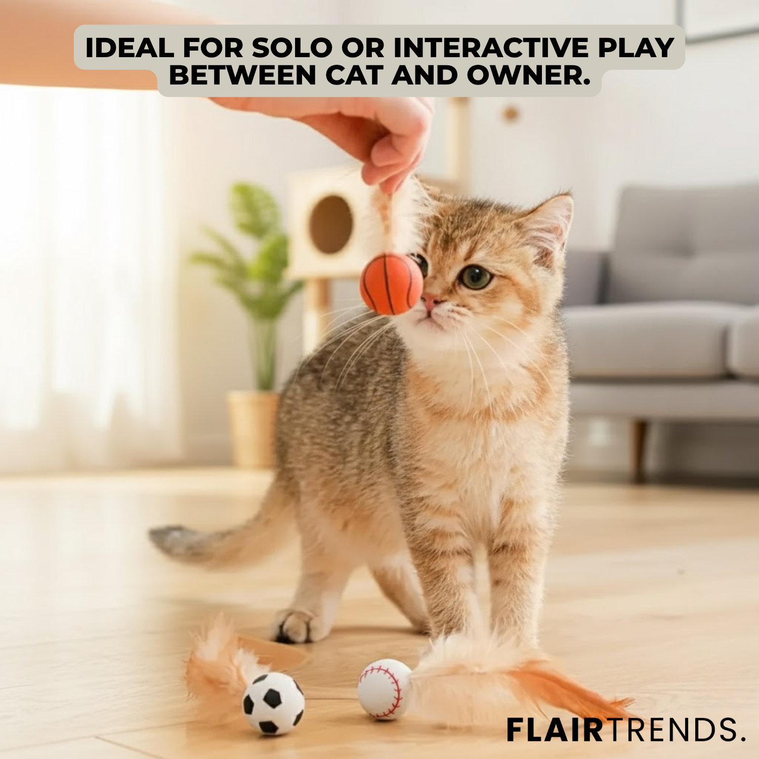 FeatherBounce – Fun Play for Active Cats!