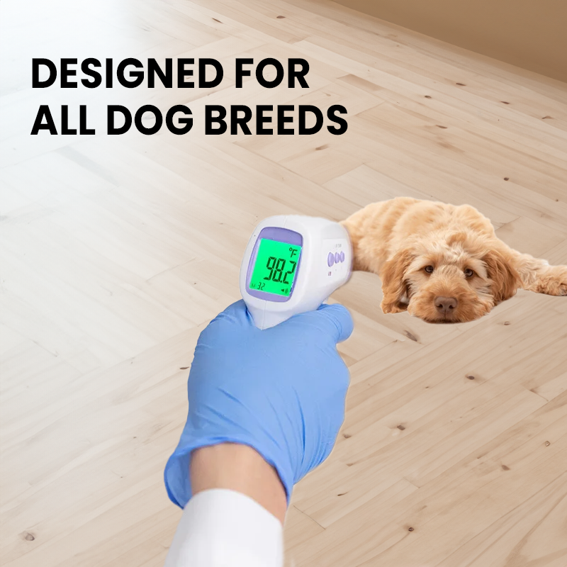 PawTemp – Touch-Free Temperature Checks for a Calmer, Healthier Pup!