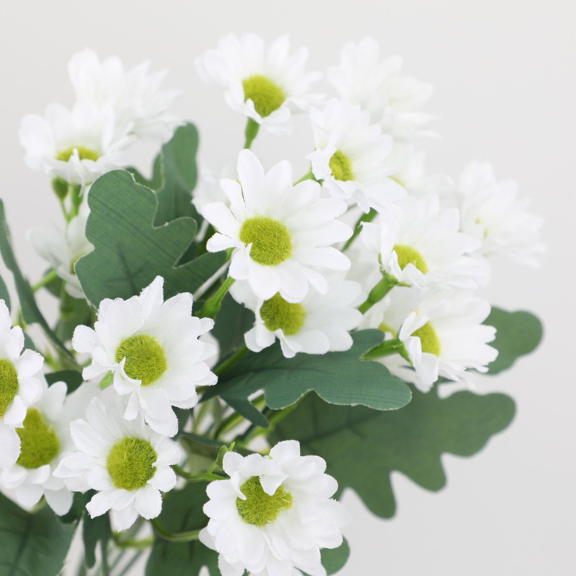 2+1 FREE | BloomoraSunset – Autumnal Splendor That Never Fades