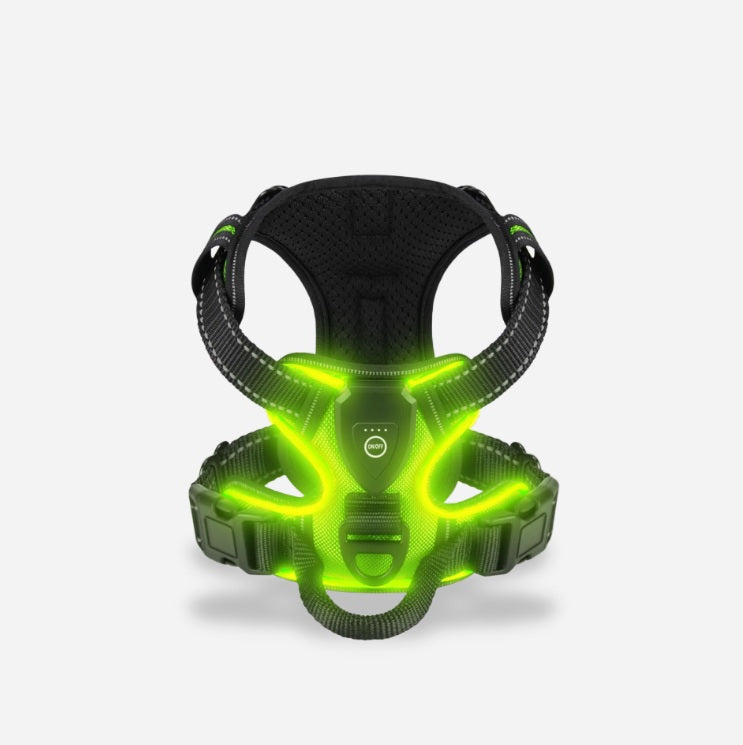 PawGuard – Safe & Stylish Dog Walking!