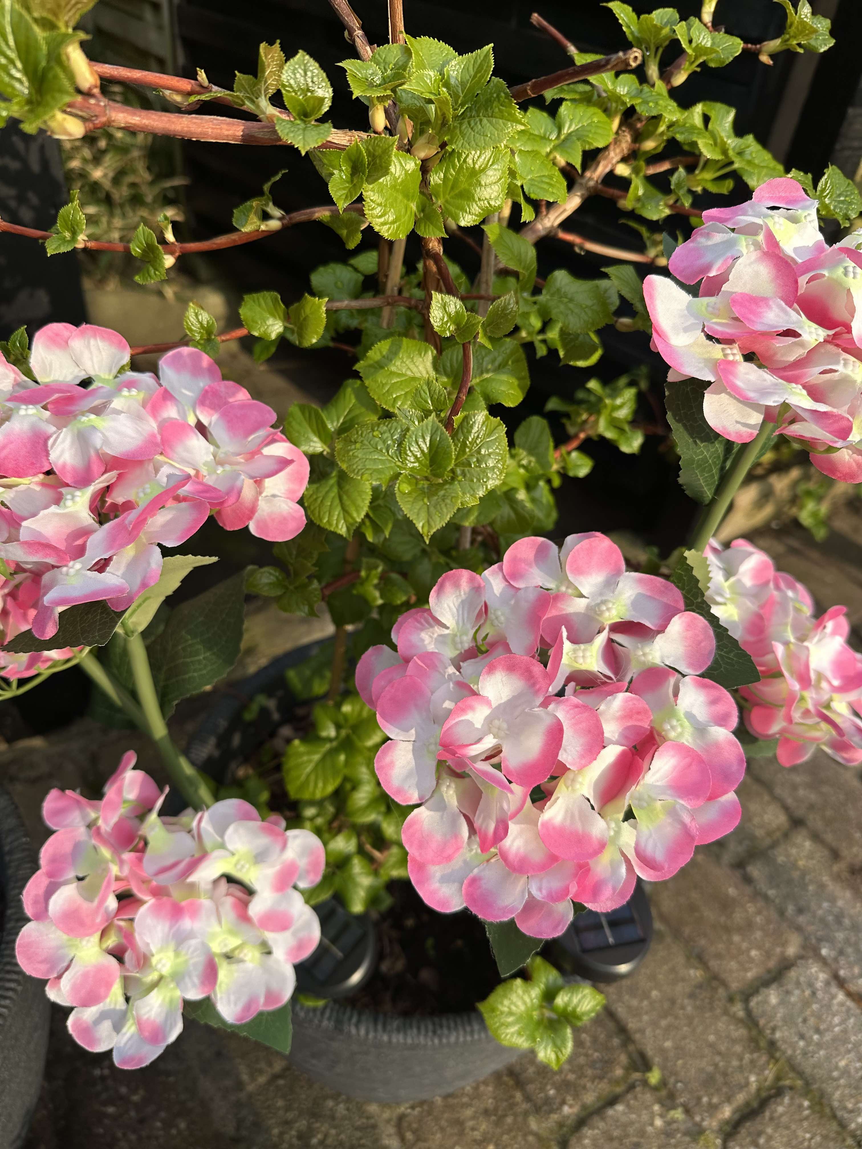 GlowFlora – Magical Light Accents for Your Garden