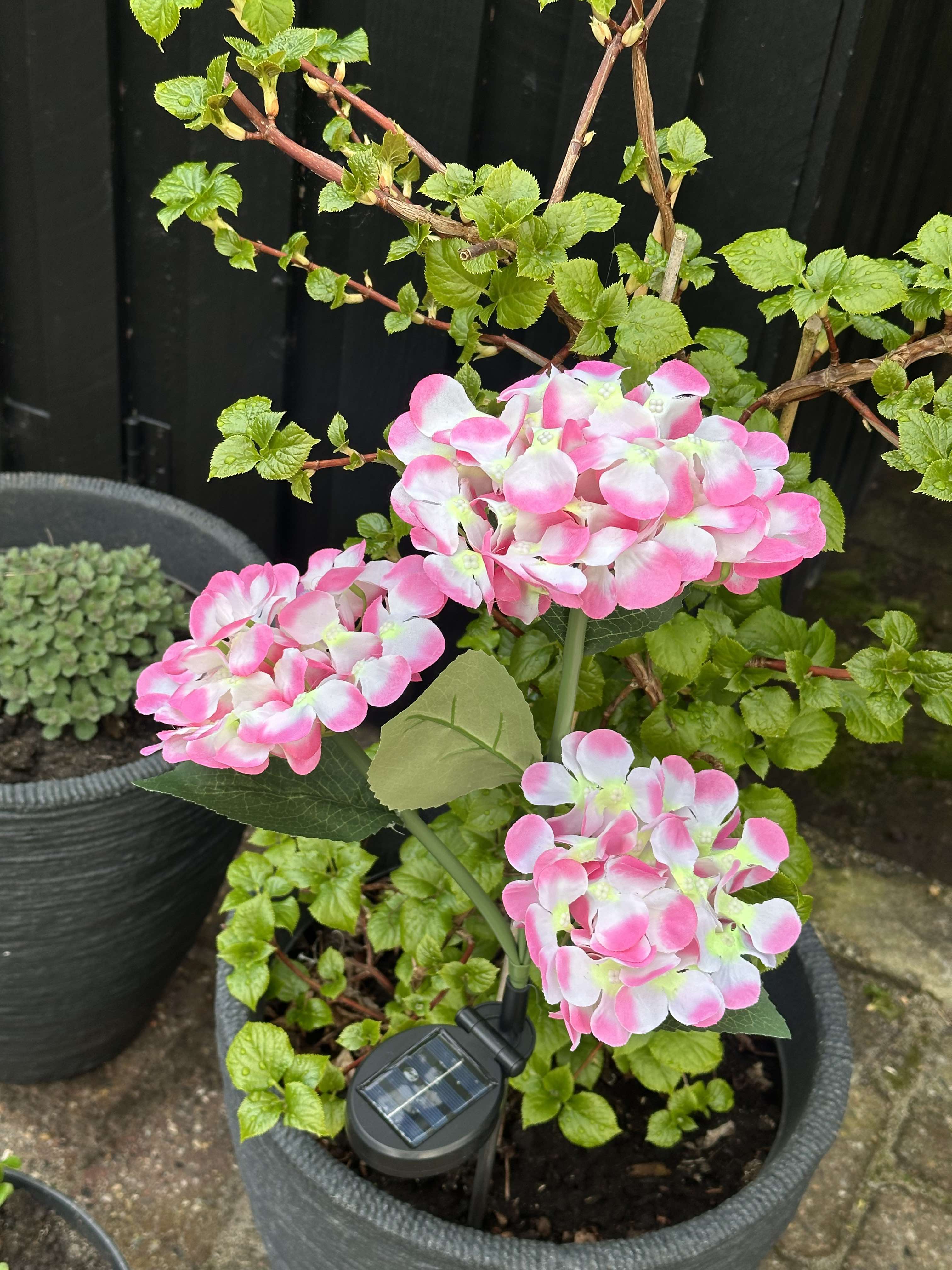 GlowFlora – Magical Light Accents for Your Garden