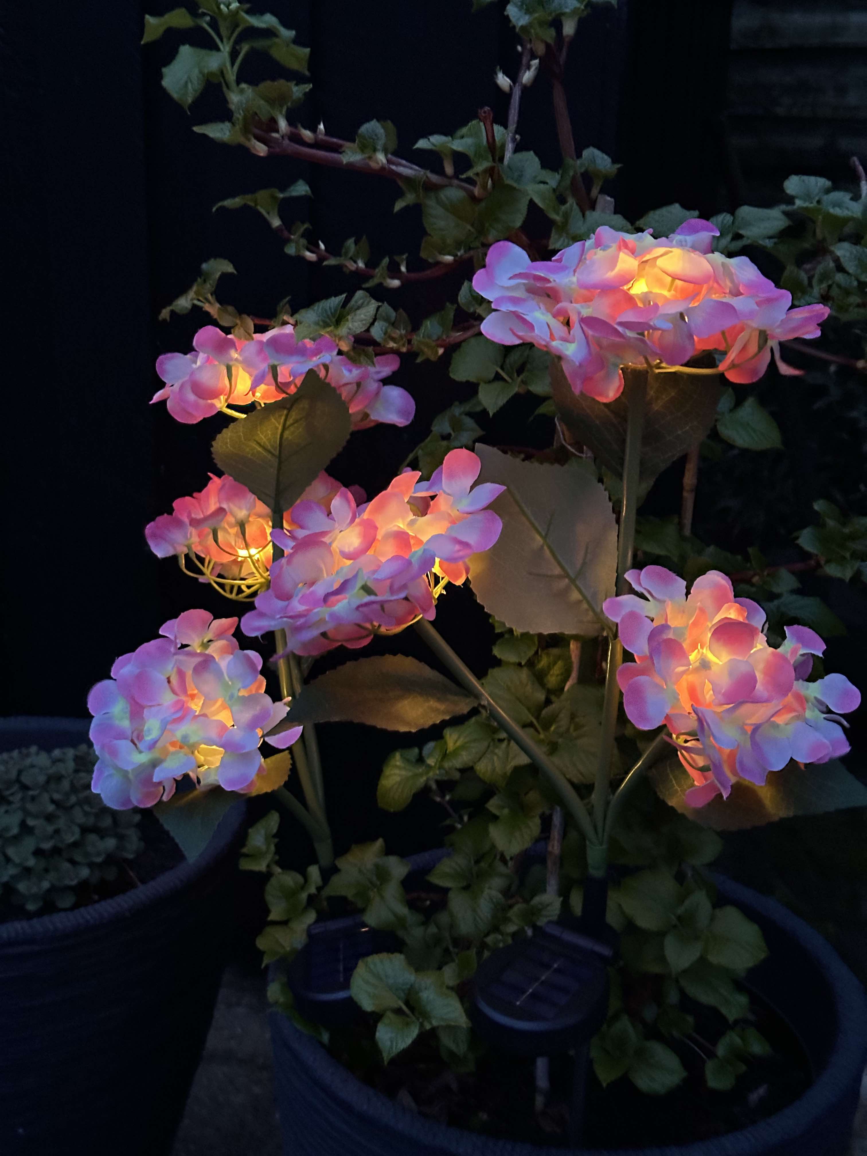 GlowFlora – Magical Light Accents for Your Garden