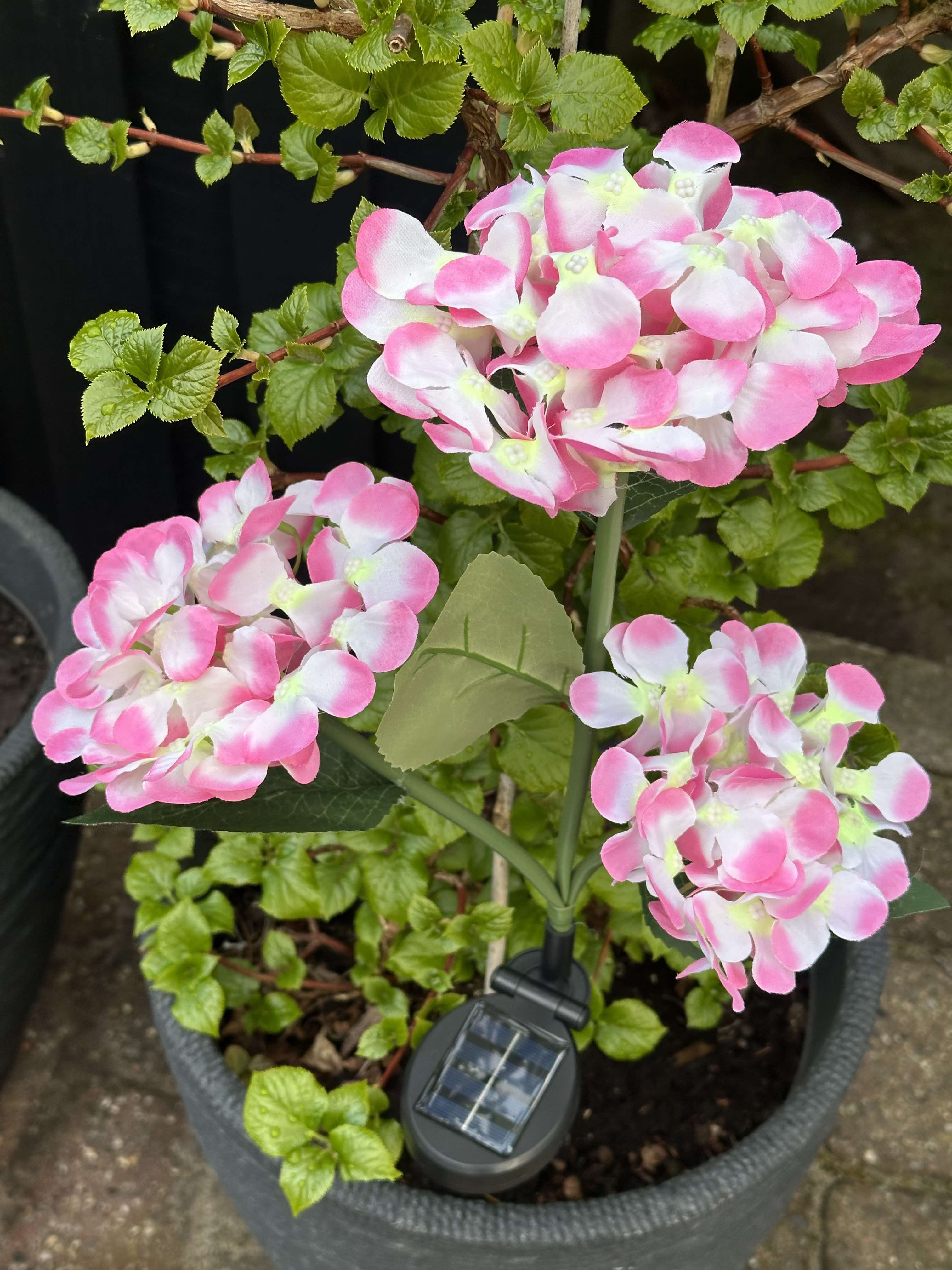 GlowFlora – Magical Light Accents for Your Garden