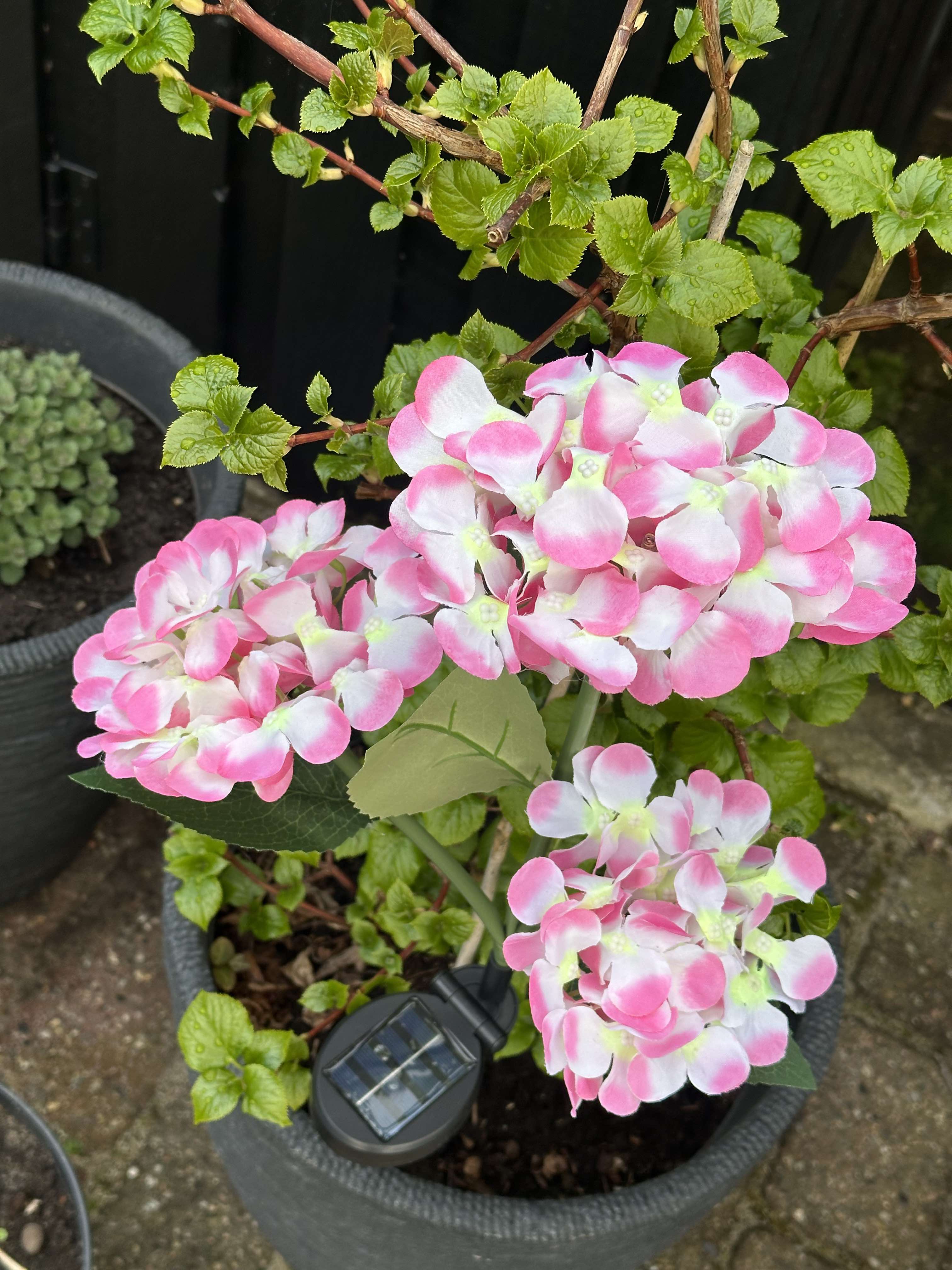 GlowFlora – Magical Light Accents for Your Garden
