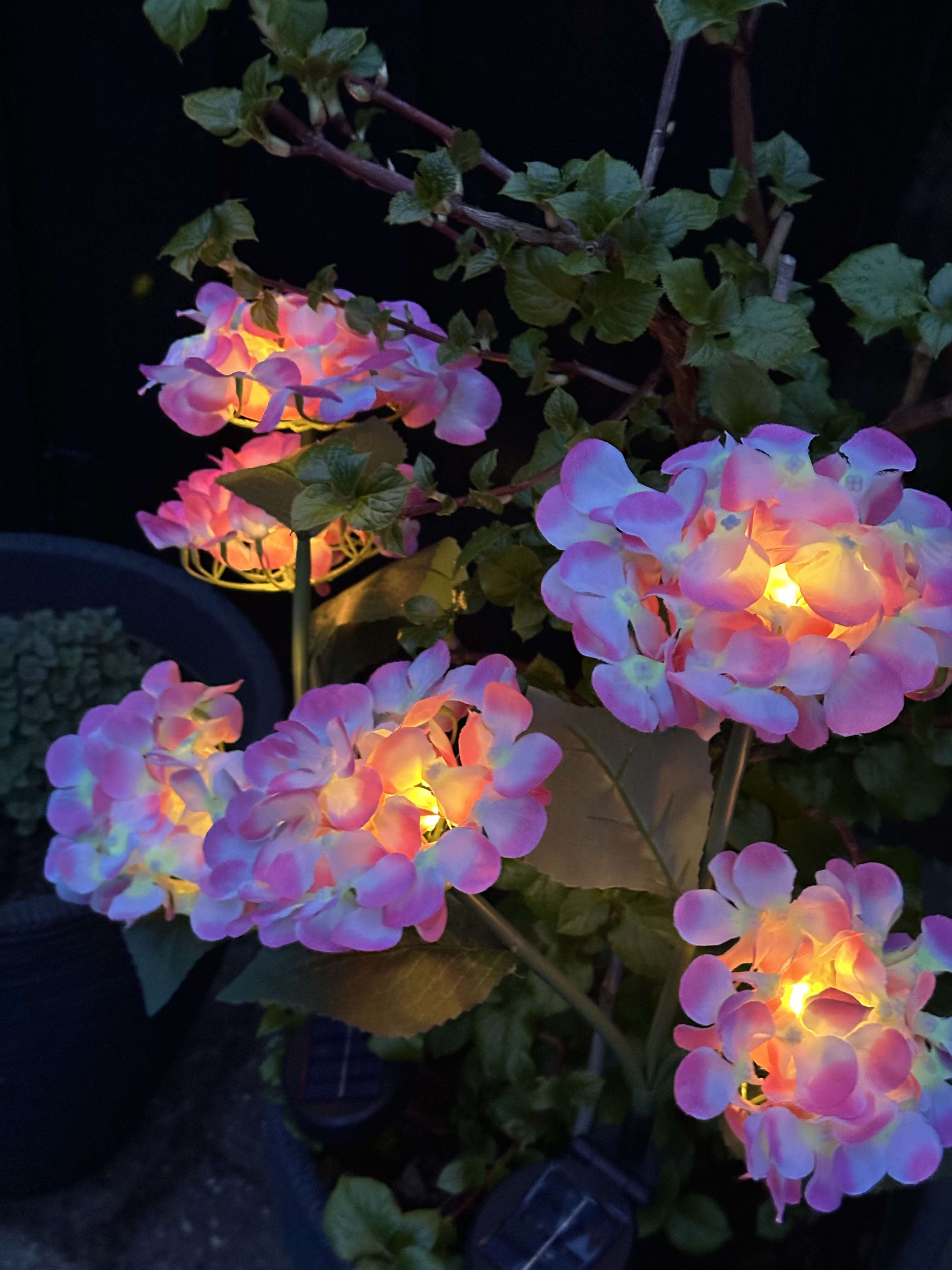 GlowFlora – Magical Light Accents for Your Garden