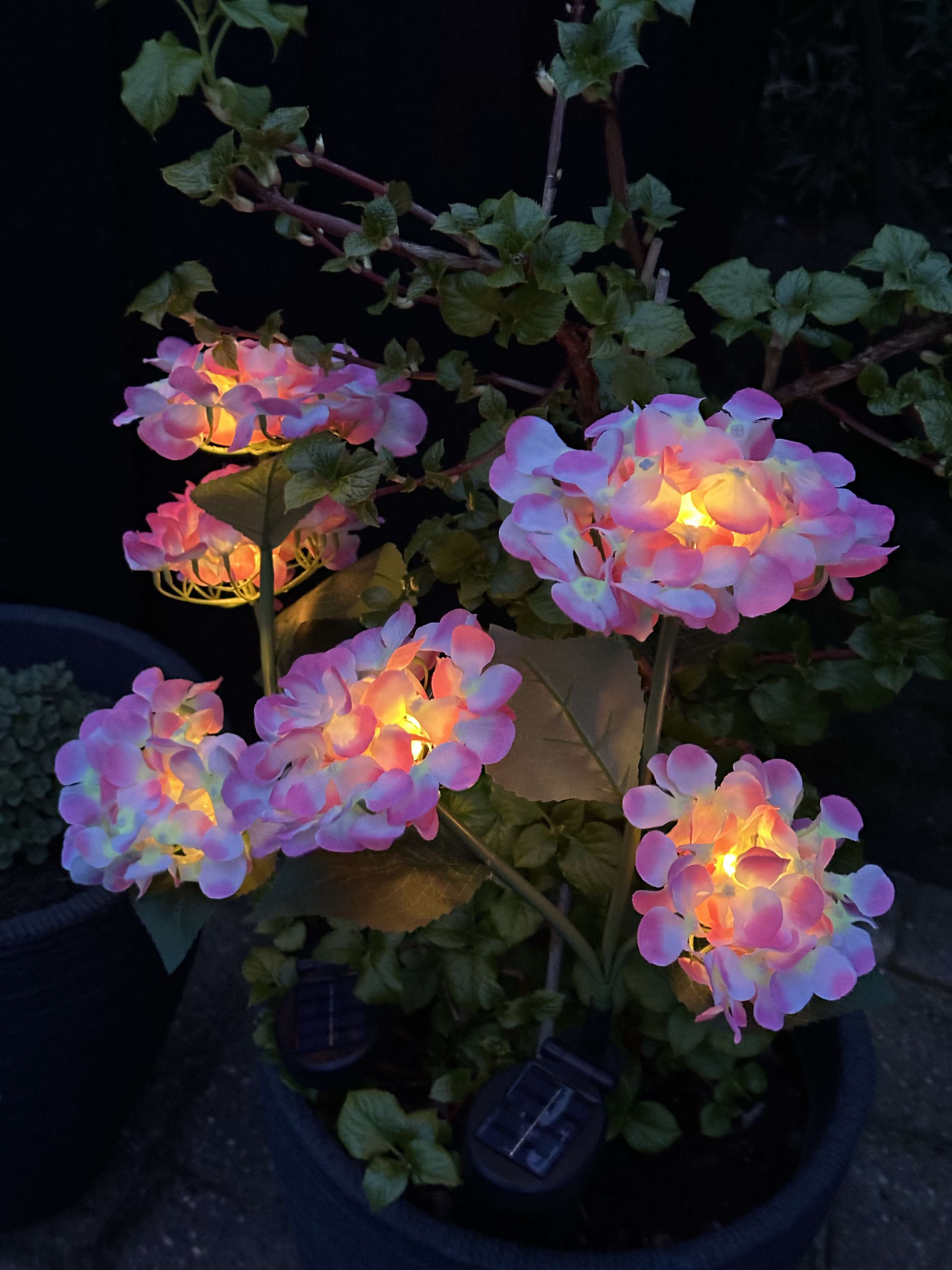 GlowFlora – Magical Light Accents for Your Garden