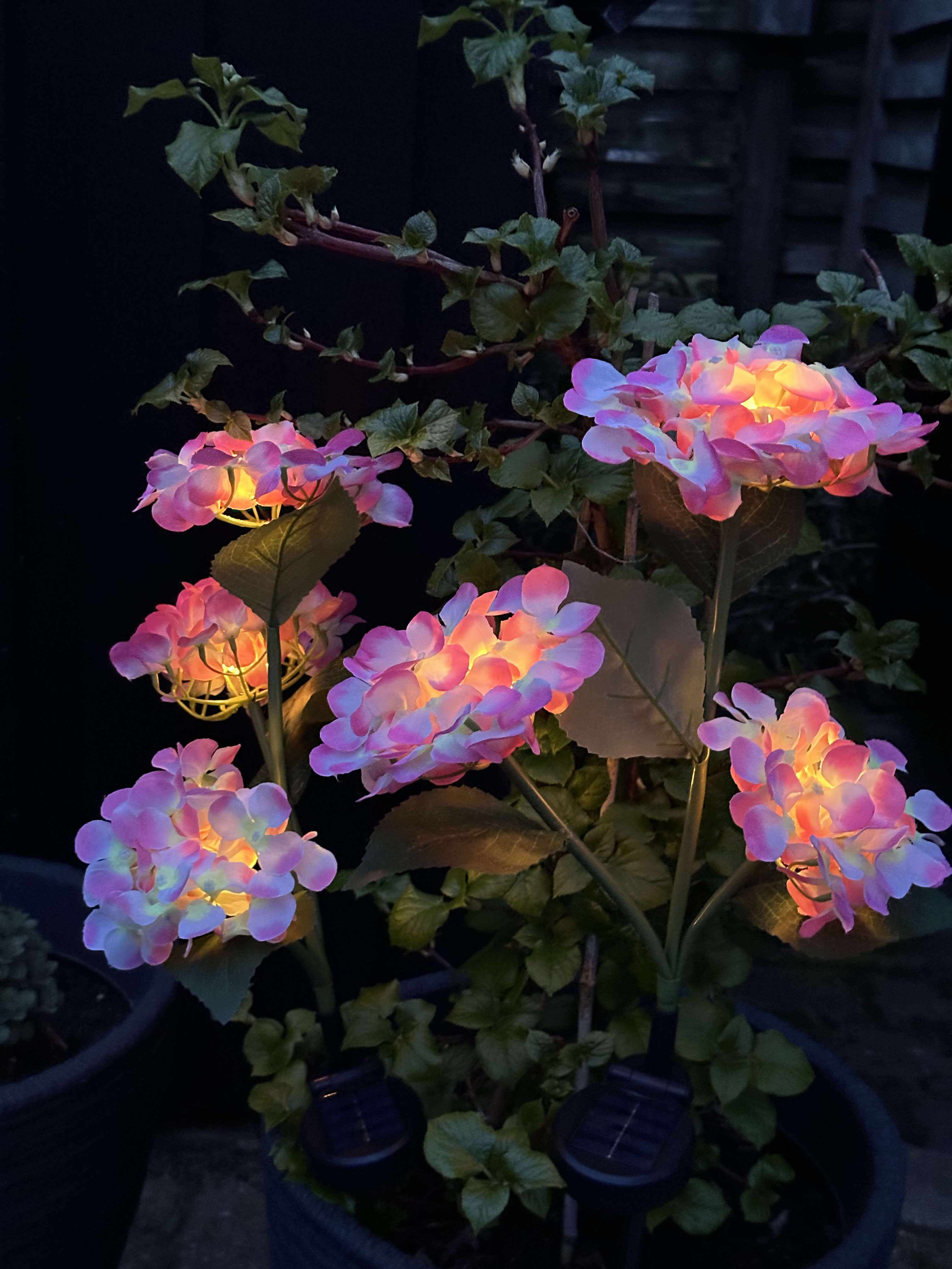 GlowFlora – Magical Light Accents for Your Garden